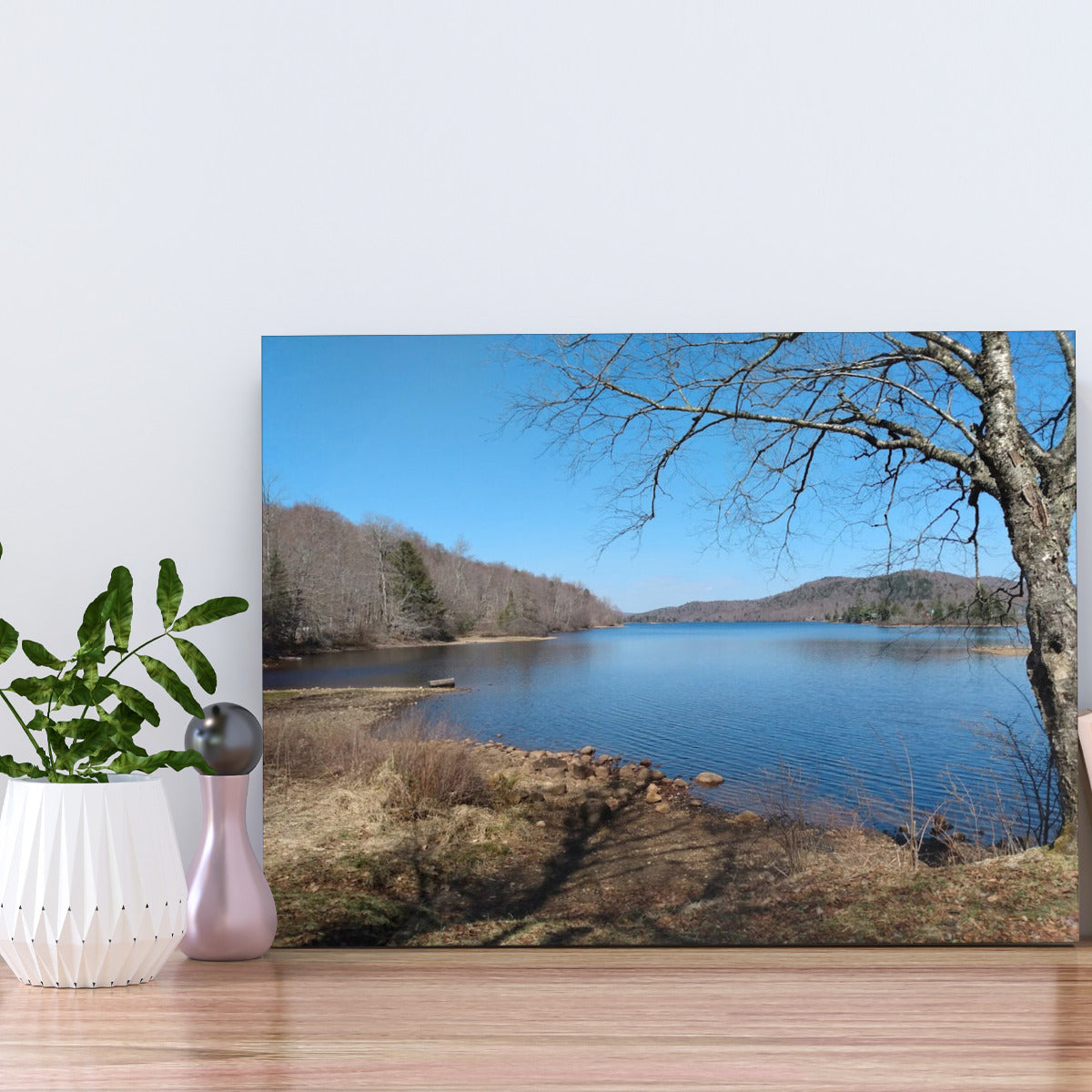 Nature Landscape Metal Prints - Front Mount